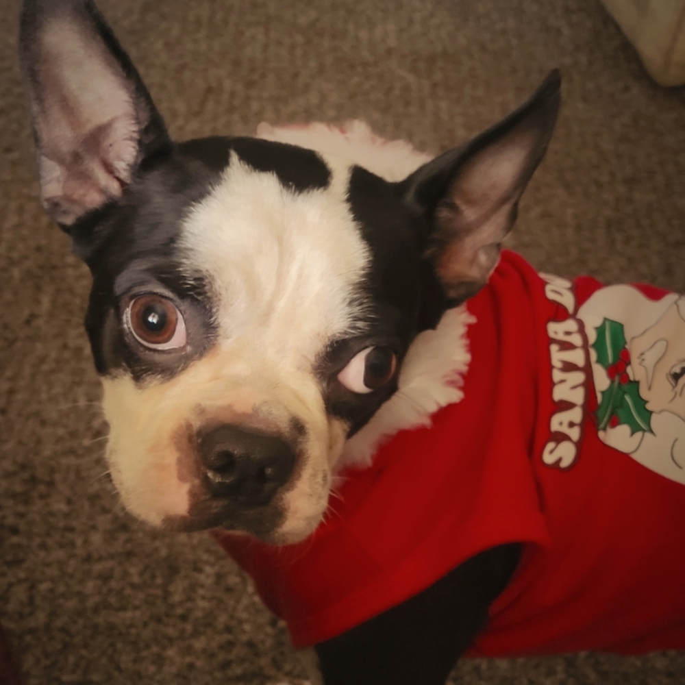 Meet your Posher, Laura